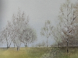 Path to Mugdock.JPG